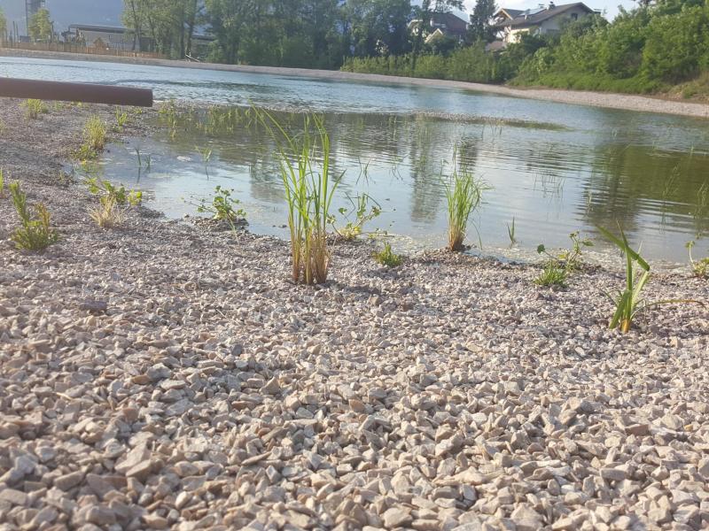 Außen-, Landschafts- und Gartengestaltungen