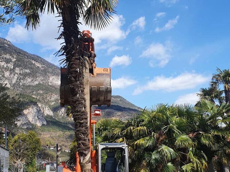 Außen-, Landschafts- und Gartengestaltungen